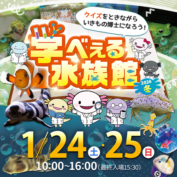 1514_file_dba9c5b6f8eb387ebf129f552634453472c4af8d_thumb