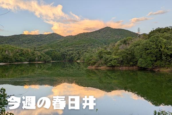 今週の春日井_20241028_001034_0000