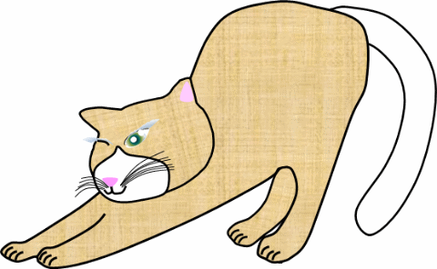 neko_strech