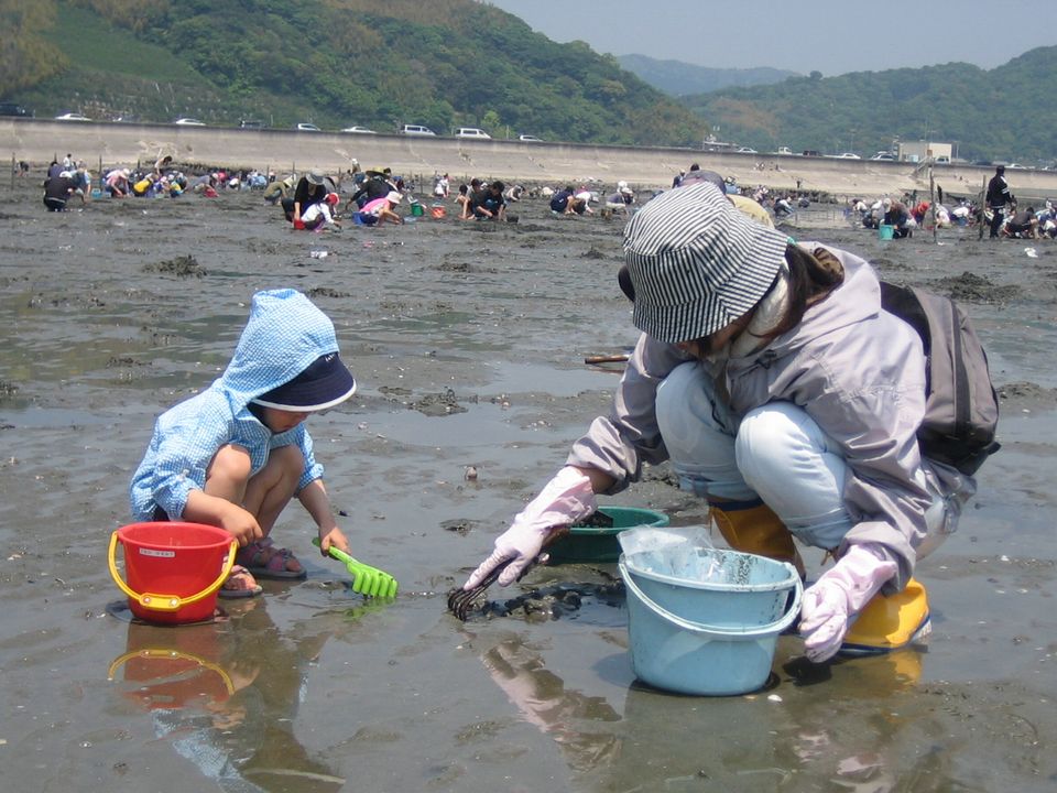 潮干狩り１ ひとりでできるよ