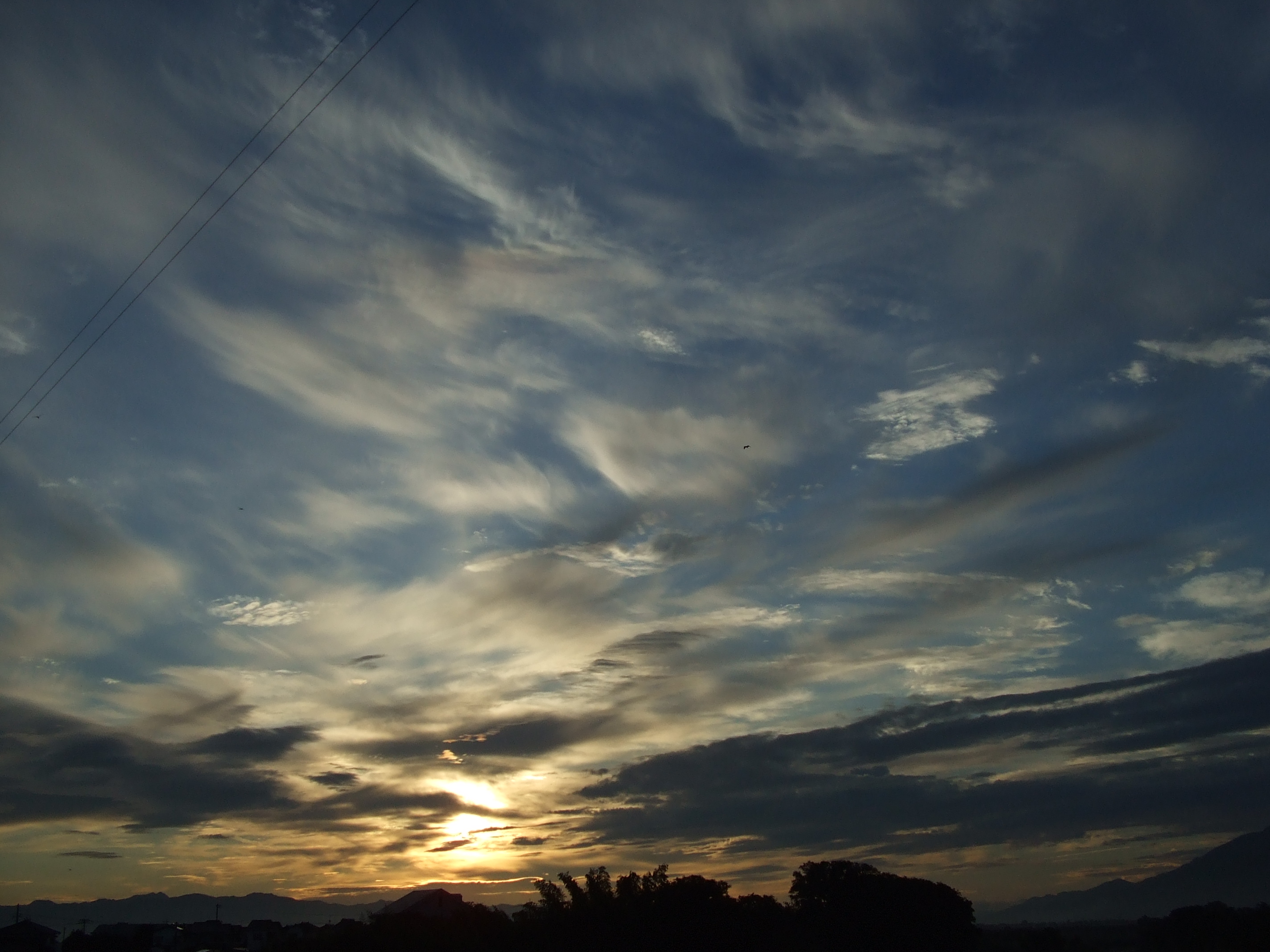 朝焼けの空 かすみ草