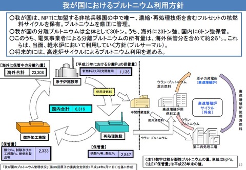 我が国Ｐｕ利用方針