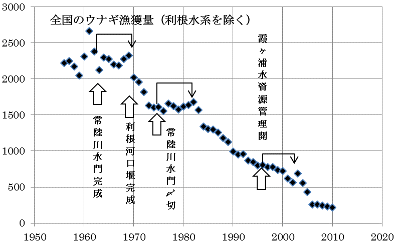 ウナギをめぐる冒険 その１ 海夫通信 Com