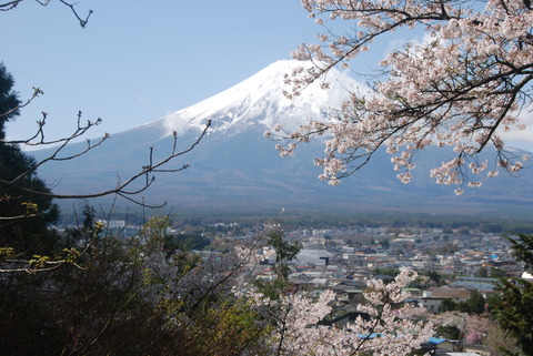 2023富士山と桜