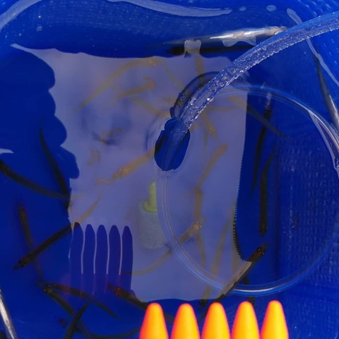 83557304_201389871002183_6258674881156612096_o