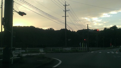 IMAG0338
