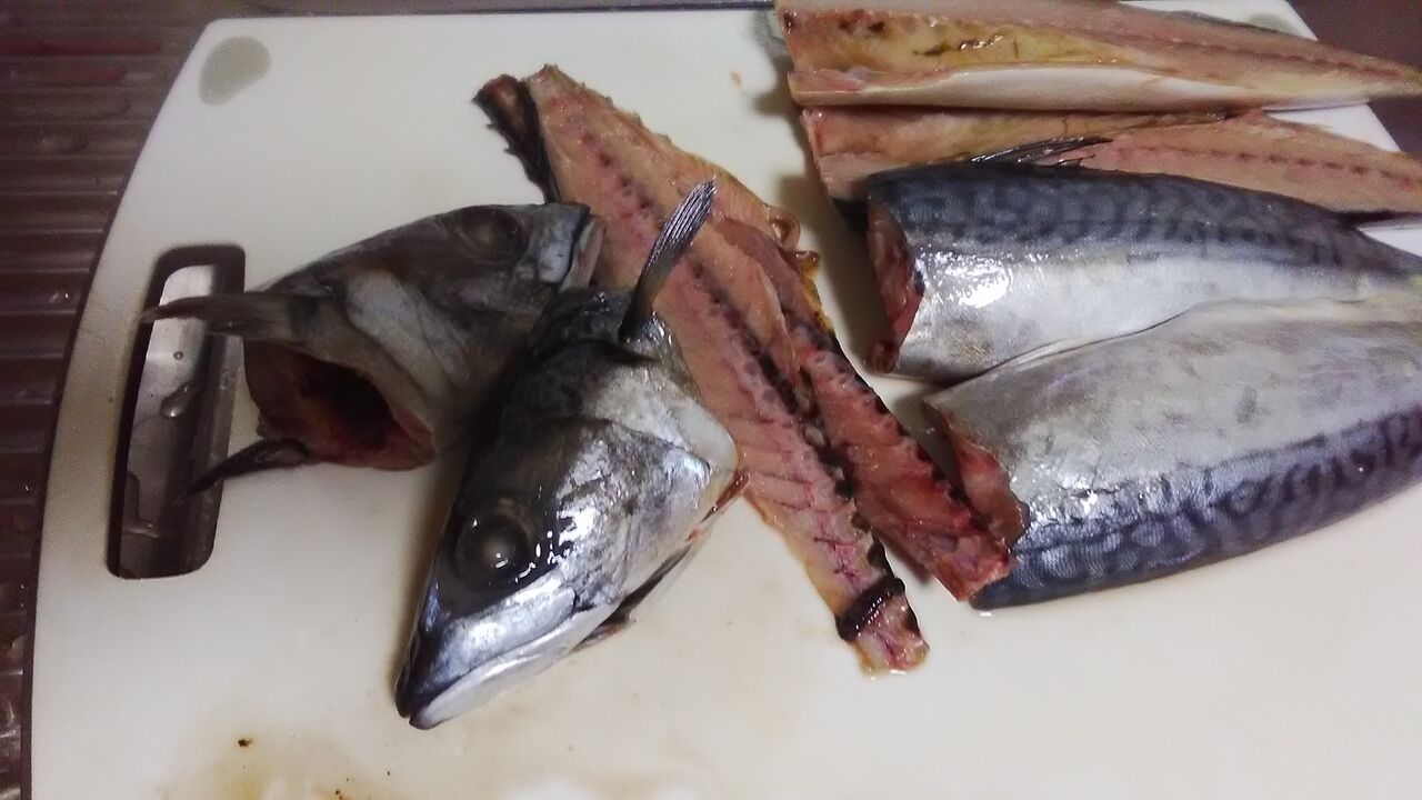鯖を三枚おろし みいこの部屋 鯖を三枚おろし みいこの部屋