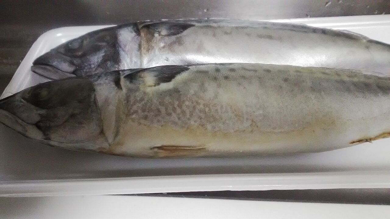 鯖を三枚おろし みいこの部屋