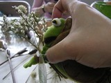リースを作る