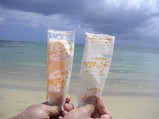 土盛海岸