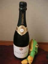 Gattinoi