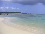 土盛海岸全景