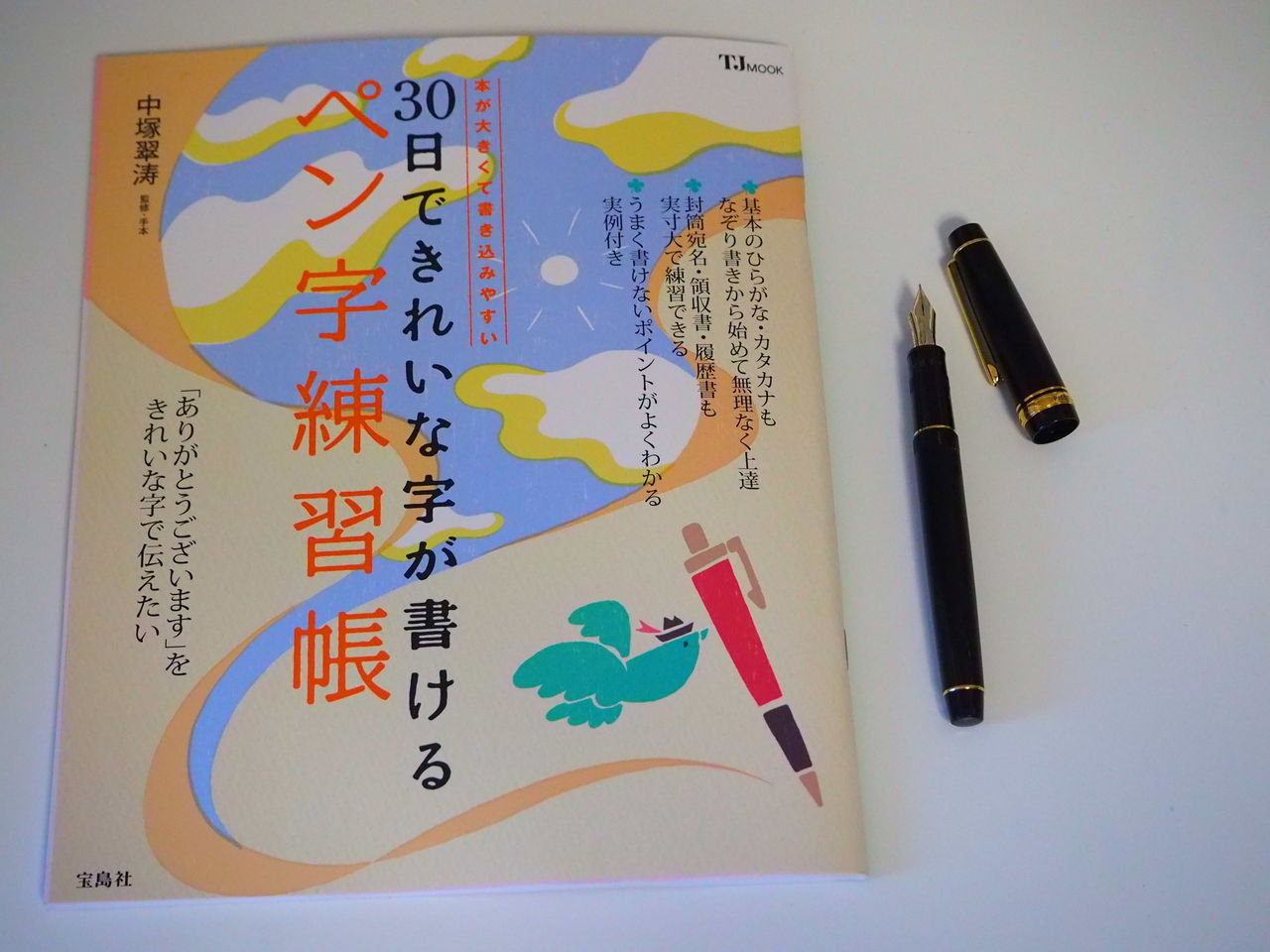 ペン習字を始めてみる 線を書く カステラな毎日