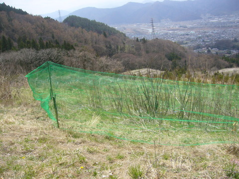 P1060072