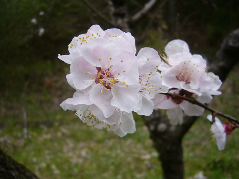 P1060089