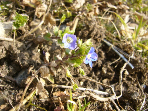 P1050904