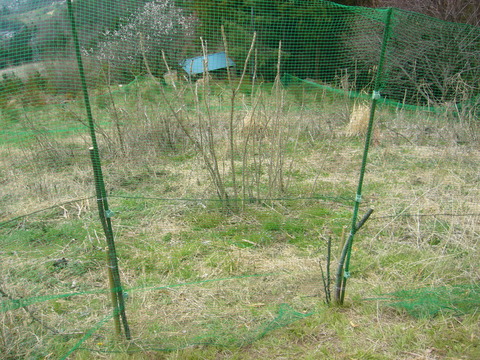 P1060075