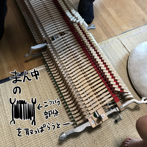 D697A22E-482C-4ED0-94F5-4BEEF8EF3930