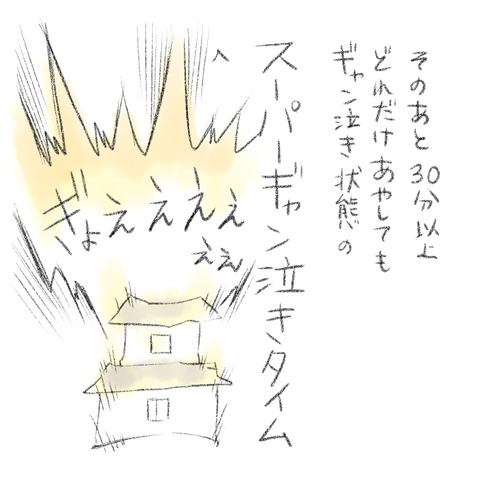 2AFC0C08-CD90-4DA0-8D4E-A7E9CE26683F