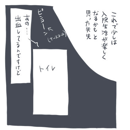 81-5