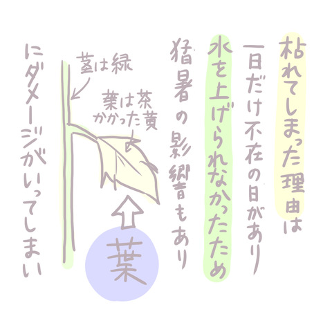 171-2