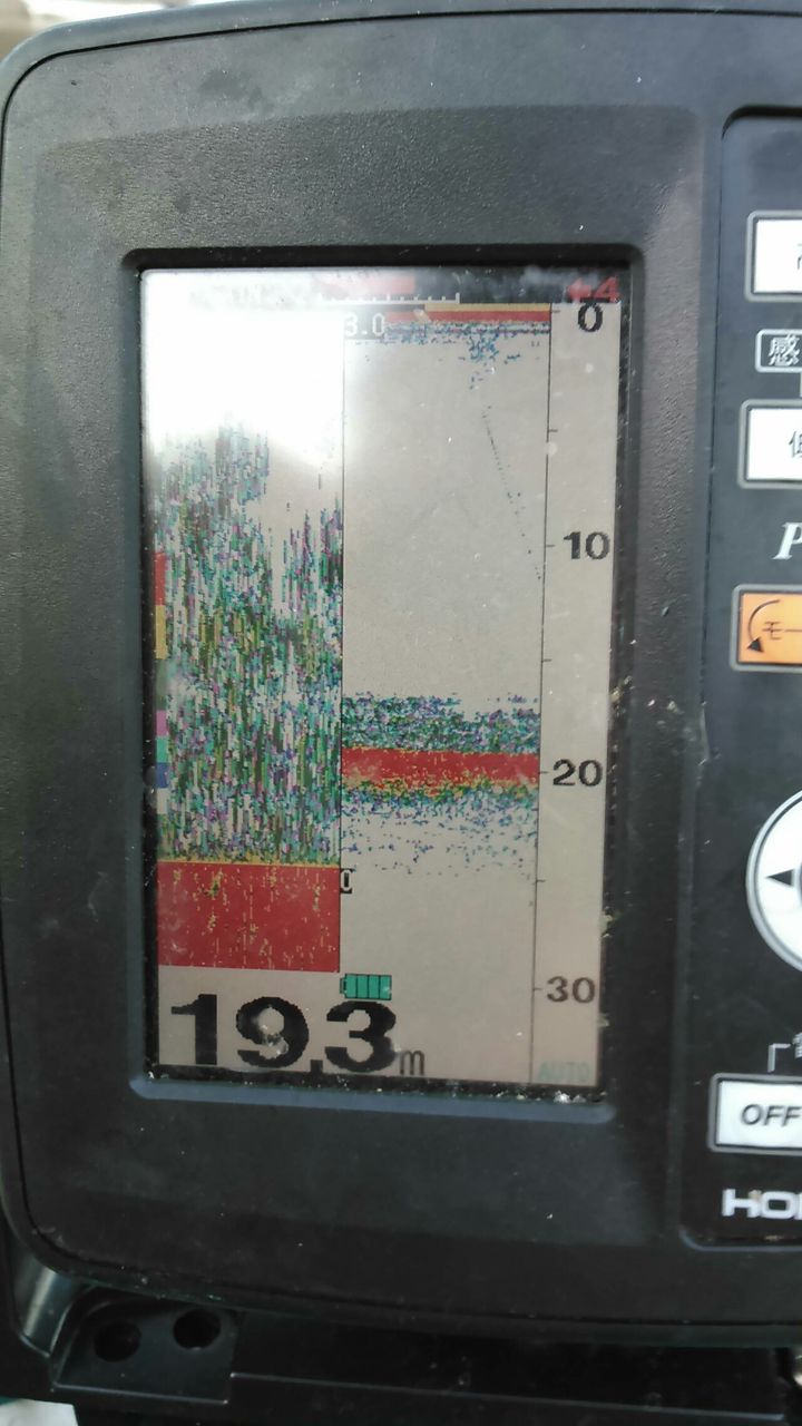 4 8西湖ワカサギ釣行 はぎわかます 4 8西湖ワカサギ釣行 はぎわかます