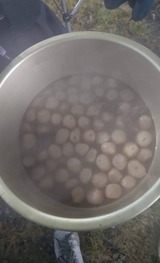 23060
