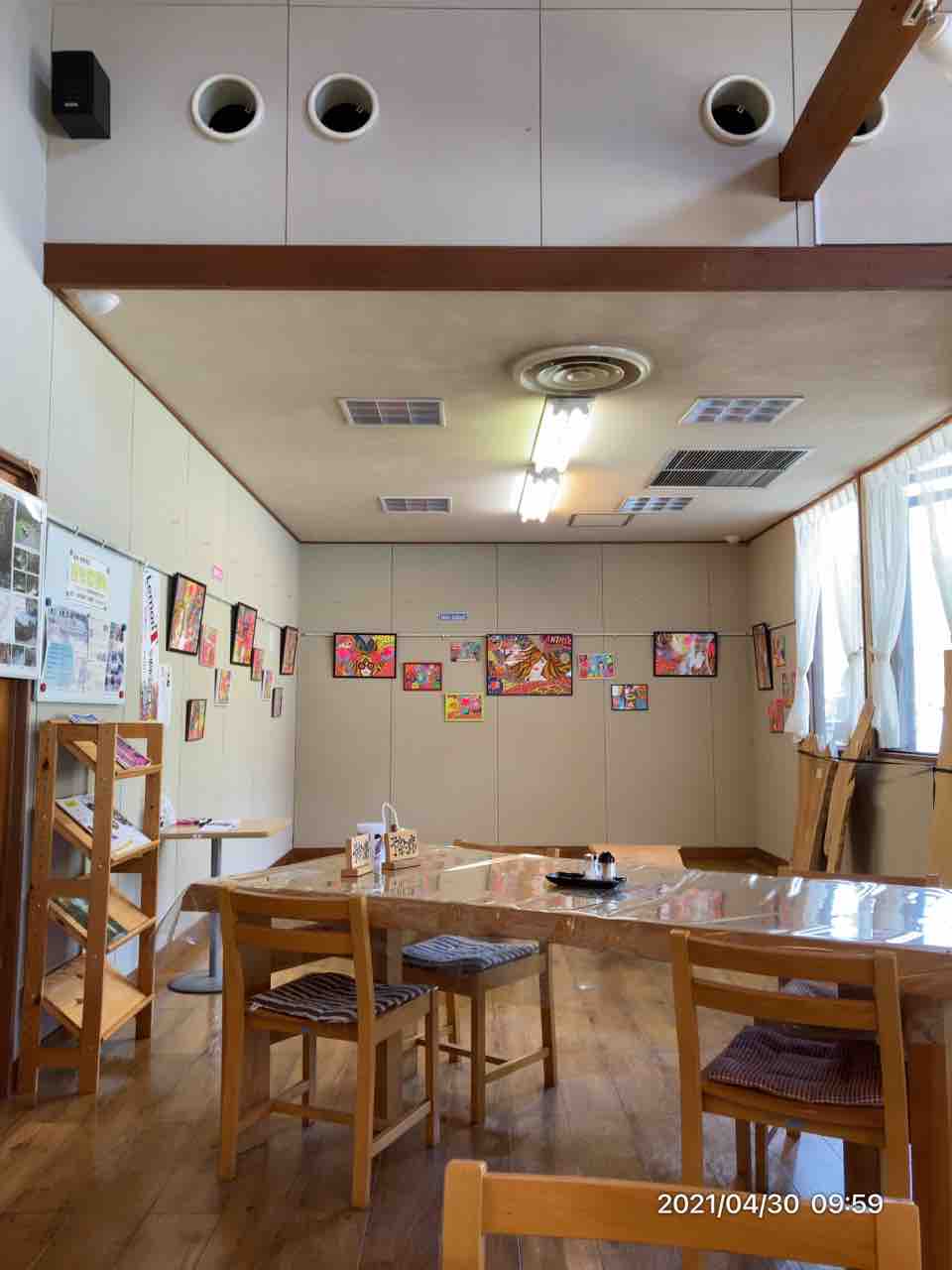 見頃を過ぎた水芭蕉を愛でに その後の かたぎ家のココロ