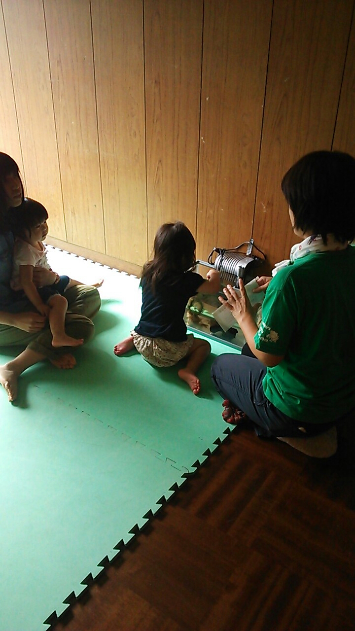 d7485445.jpg