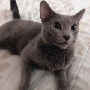 まる1歳