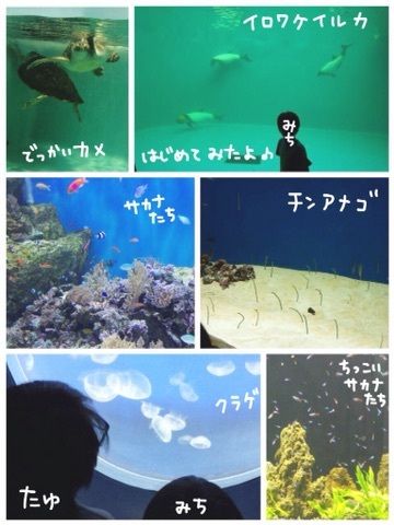 {CF53A2E5-710B-4435-8A77-ED0B5E9EF0CC:01}