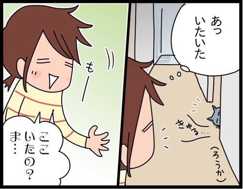 54