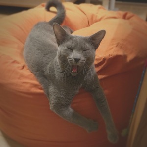 まる1歳