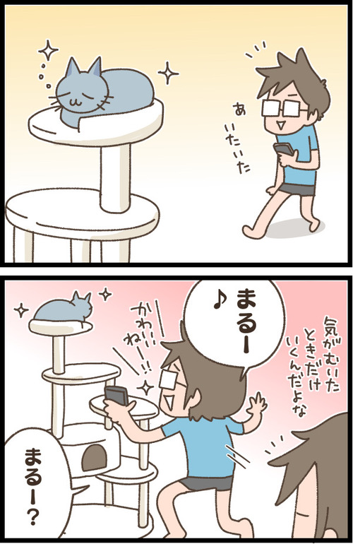export