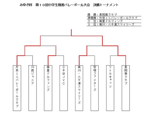 20151129みゆき杯決勝結果