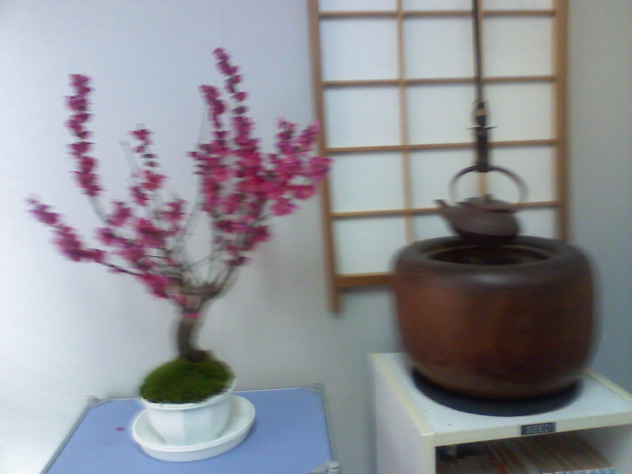 岐阜 接骨院 田原接骨鍼灸院 接骨院スタッフ Livedoor Blog ブログ