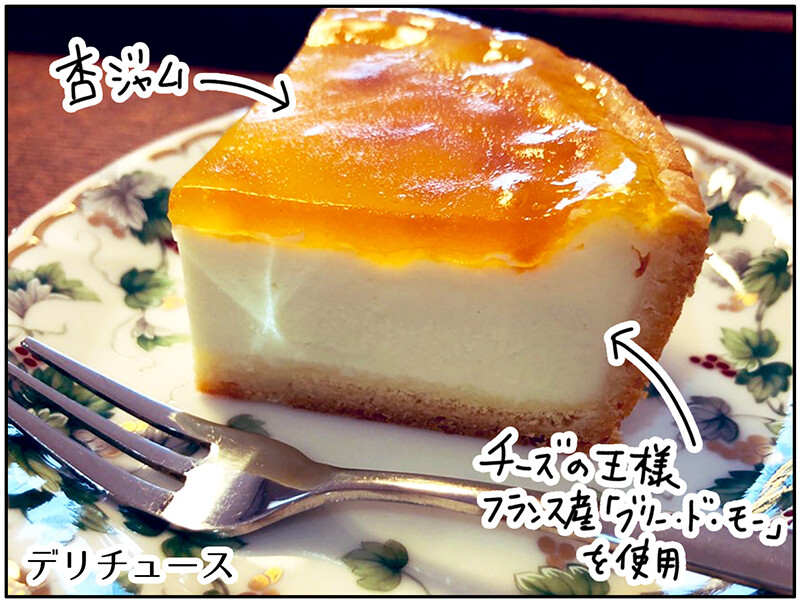 極上のチーズケーキ デリチュースの回 関西うまいもん手帖 Powered By ライブドアブログ