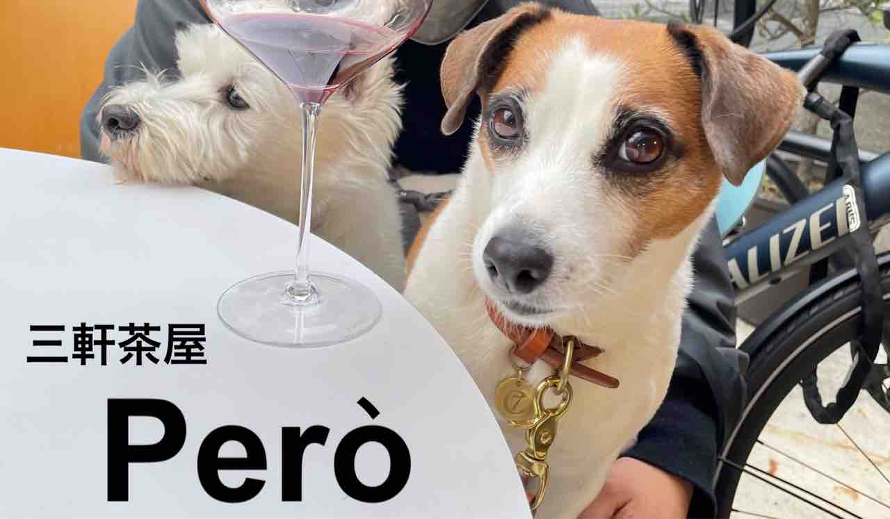 犬と一緒にナチュラルワイン わっしょーい アボちゃんのアボカドブログ