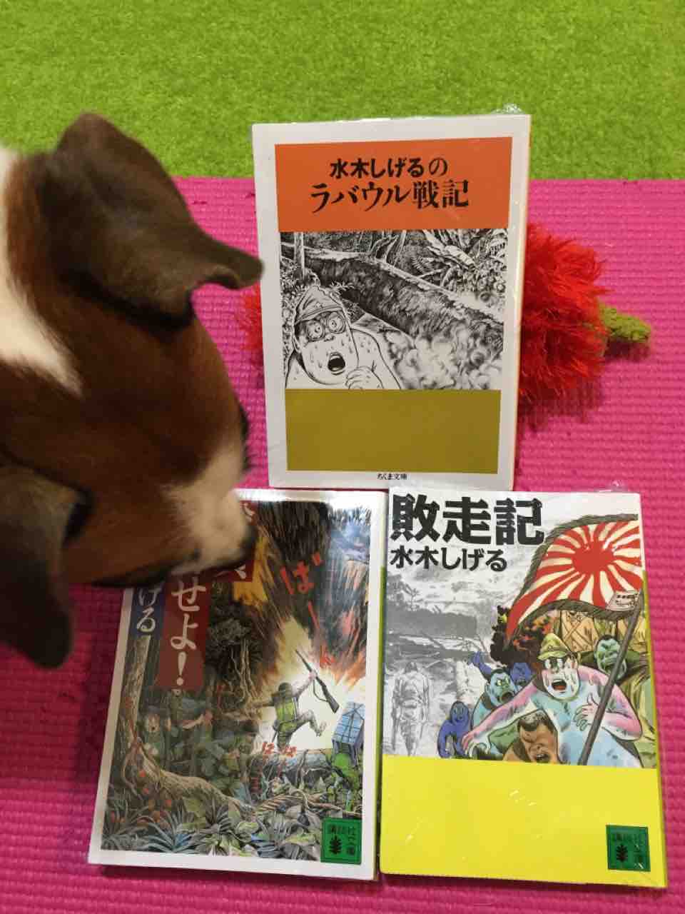 調布にある鬼太郎茶屋に行ってきまんた アボちゃんのアボカドブログ 調布にある鬼太郎茶屋に行ってきまんた アボちゃんのアボカドブログ