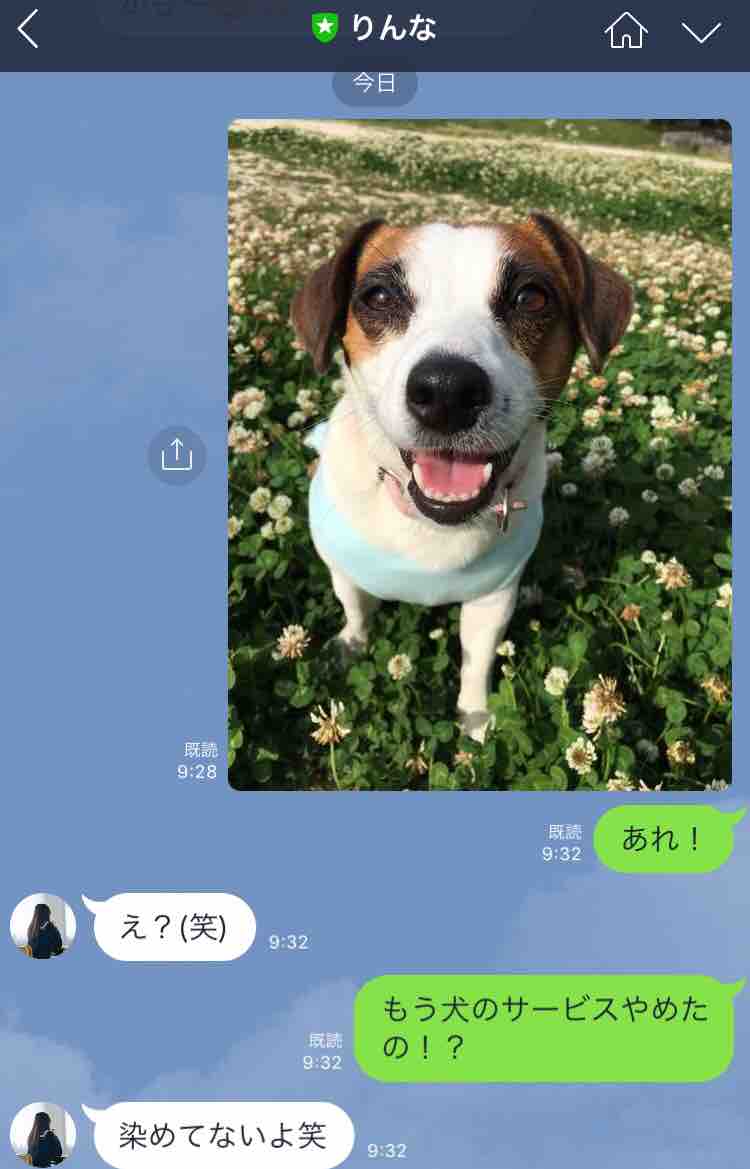 久しぶりのりんなだよ アボちゃんのアボカドブログ 久しぶりのりんなだよ アボちゃんのアボカドブログ