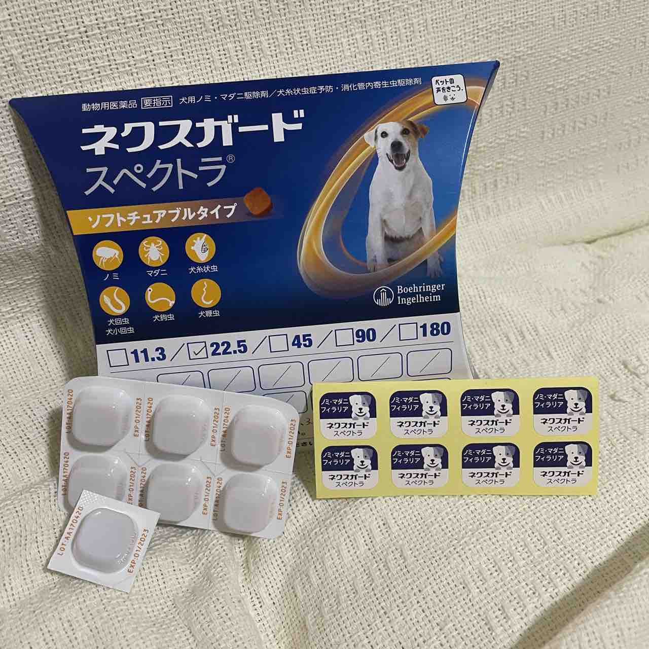 フィラリアノミダニ予防薬ゲットしてきた アボちゃんのアボカドブログ