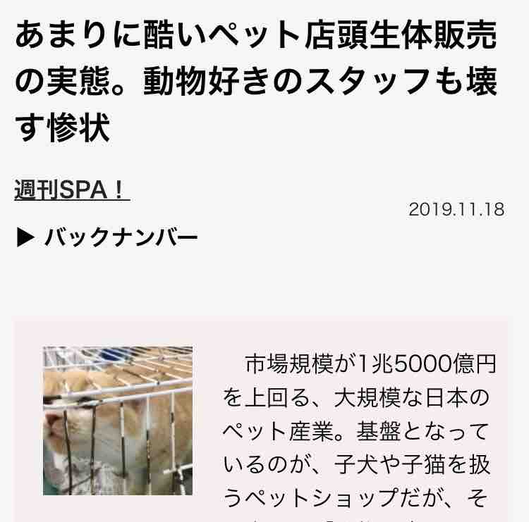 さすてなびりてぃ スマイルワンさんゴイスー アボちゃんのアボカドブログ さすてなびりてぃ スマイルワンさんゴイスー アボちゃんのアボカドブログ