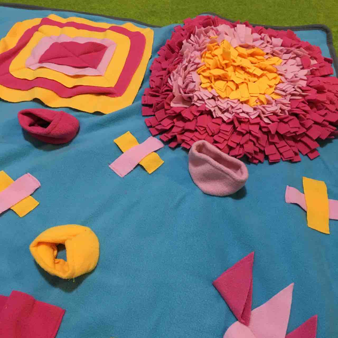 ノーズワークマットをアボにプレゼント アボちゃんのアボカドブログ