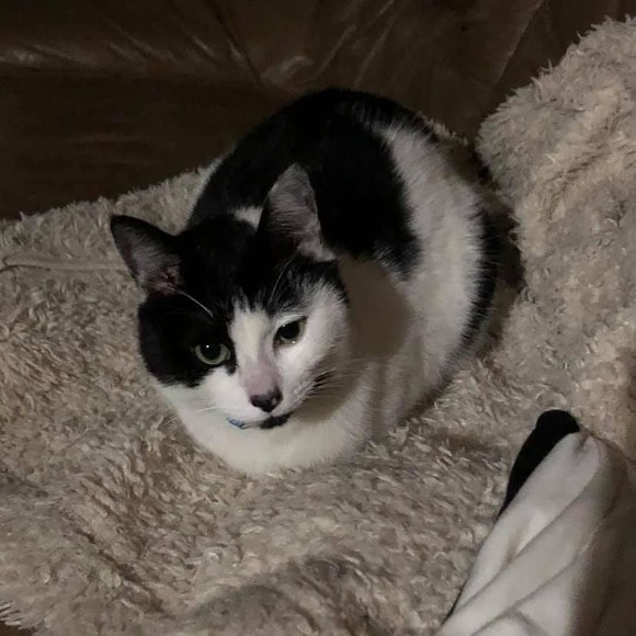 166344226_2214878838647485_1062459452252620100_n