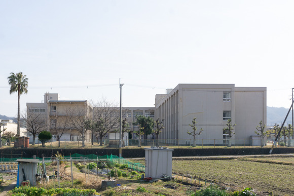 藤が尾小学校 2024年-5