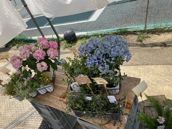 2024-05-20_10-41-17_452