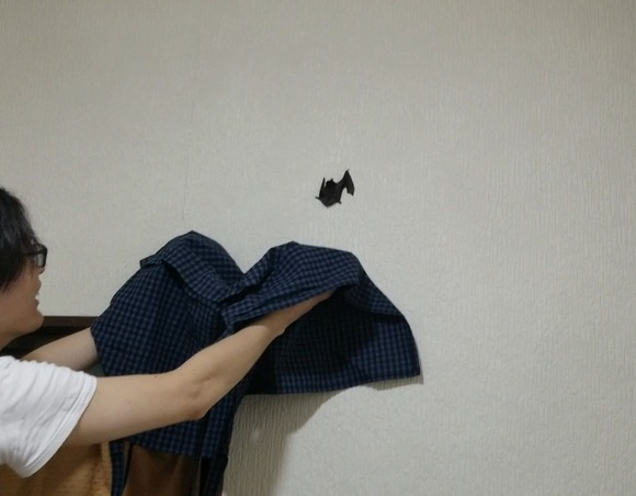 Screenshot_20210529-204139_Video Player