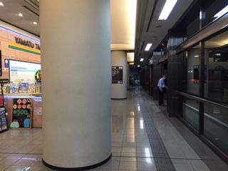 IMG_4247