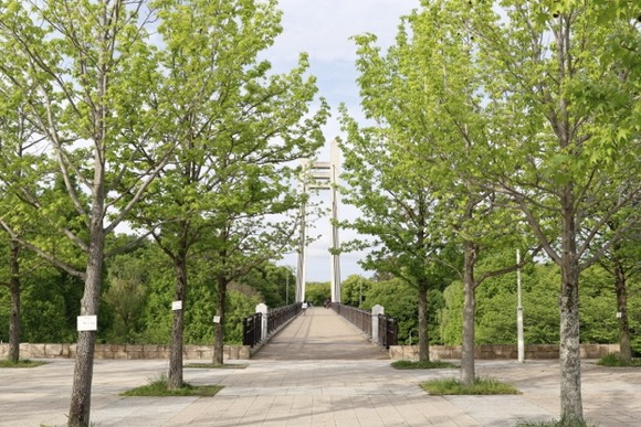 EOS 7D Mark II_0069（中）