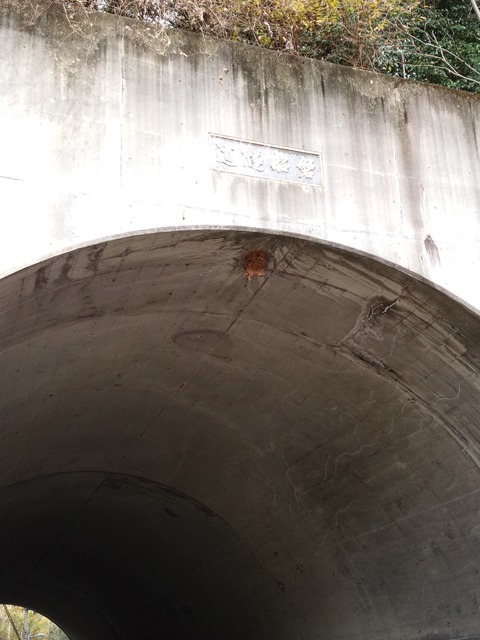 IMG_20161206_101017[1]